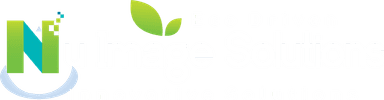 Nu Image Solutions - Eco Driven, Innovative Solutions